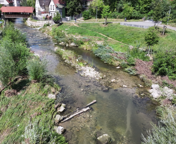 Revitalisierung der Echaz